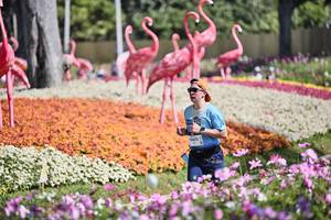 BIB: 
                            <button type="button" onclick="openModal(27793254)" class="btn btn-primary btn-sm float-right btn-popup" data-toggle="modal" data-target=".modal-high-quality">
                        <i class="fas fa-shopping-cart"></i> Add to Cart
                    </button>
                                            <button type="button" onclick="isThisMe(27793254, true)" class="btn btn-success btn-sm float-right btn-popup btn-isme hidden" data-toggle="tooltip" data-placement="bottom" title="นี่คือรูปของคุณใช่ไหม คลิกที่นี่เพื่อเอาเข้าอัลบั้ม">
                        <i class="fas fa-plus"></i> Add to album
                    </button>
                    <button type="button" onclick="isThisMe(27793254, false)" class="btn btn-warning btn-sm float-right btn-popup btn-isnotme hidden">
                        <i class="fas fa-ban"></i> Remove from album
                    </button>